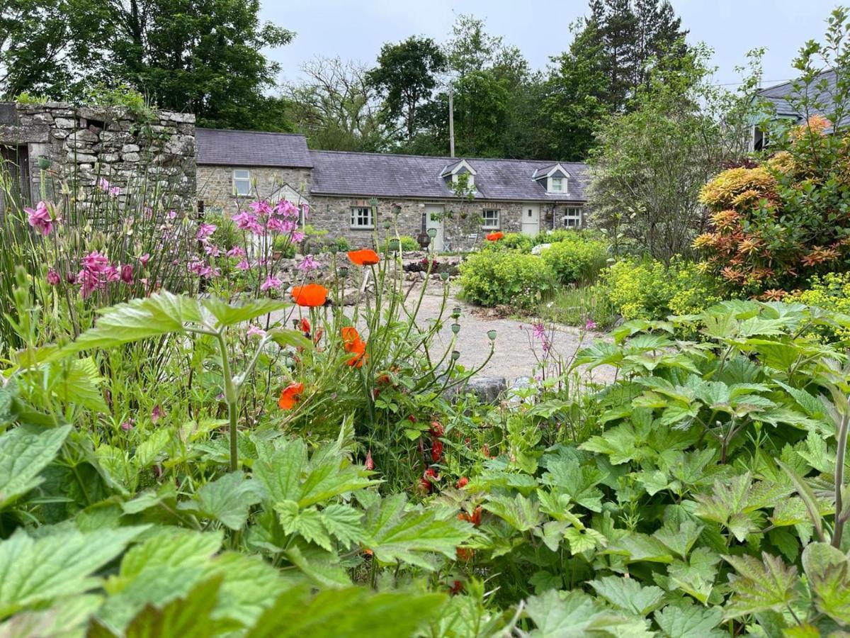 Crug Yr Eryr Isaf Villa Llandysul Eksteriør bilde