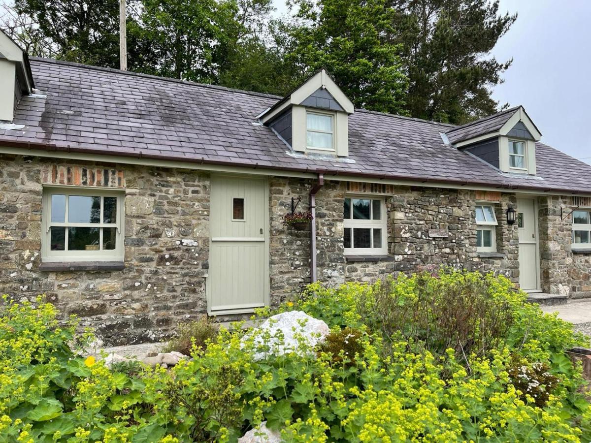 Crug Yr Eryr Isaf Villa Llandysul Eksteriør bilde